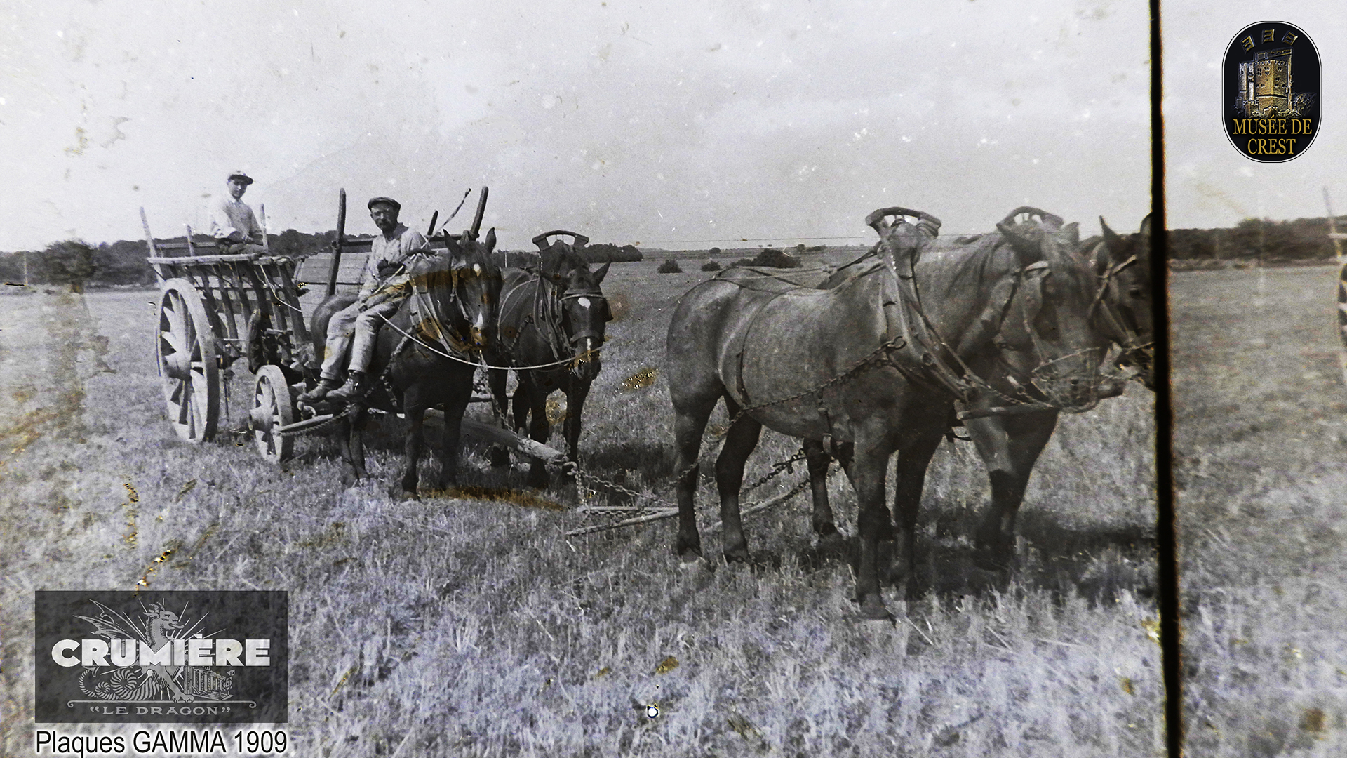 Crumiere_Plaque_Gamma_original_1909_4K_HD_MDC_DSCN3663.jpg