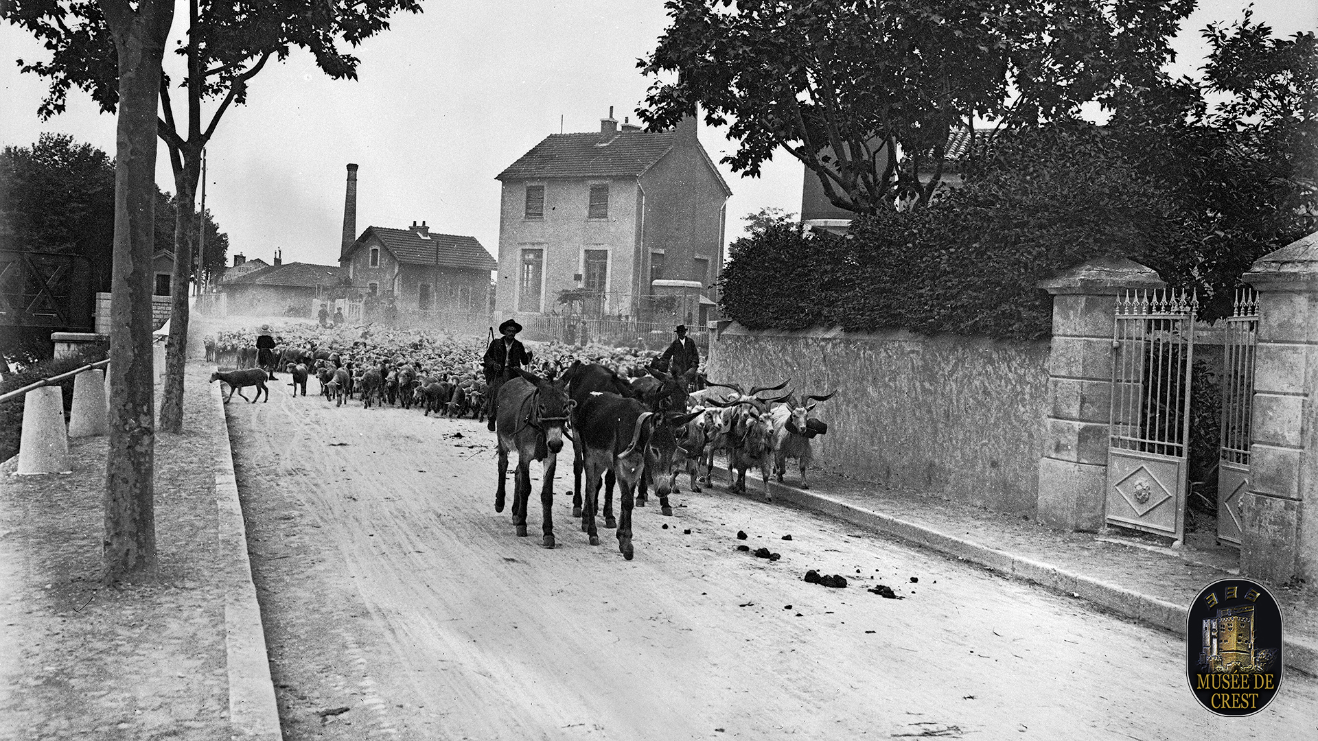 Transhumance_gare_PLM_quai_Latune_Crest_1904_UHD_HD_MDC.jpg